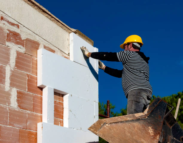 Best Commercial Insulation in Brownfields, LA